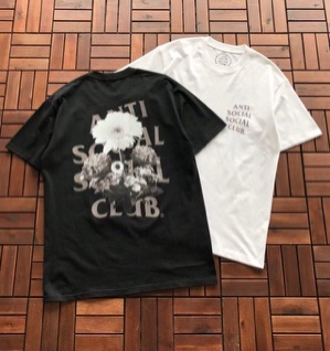 Polera Assc