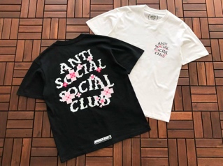 Polera Assc