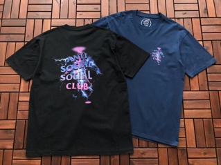 Polera Assc